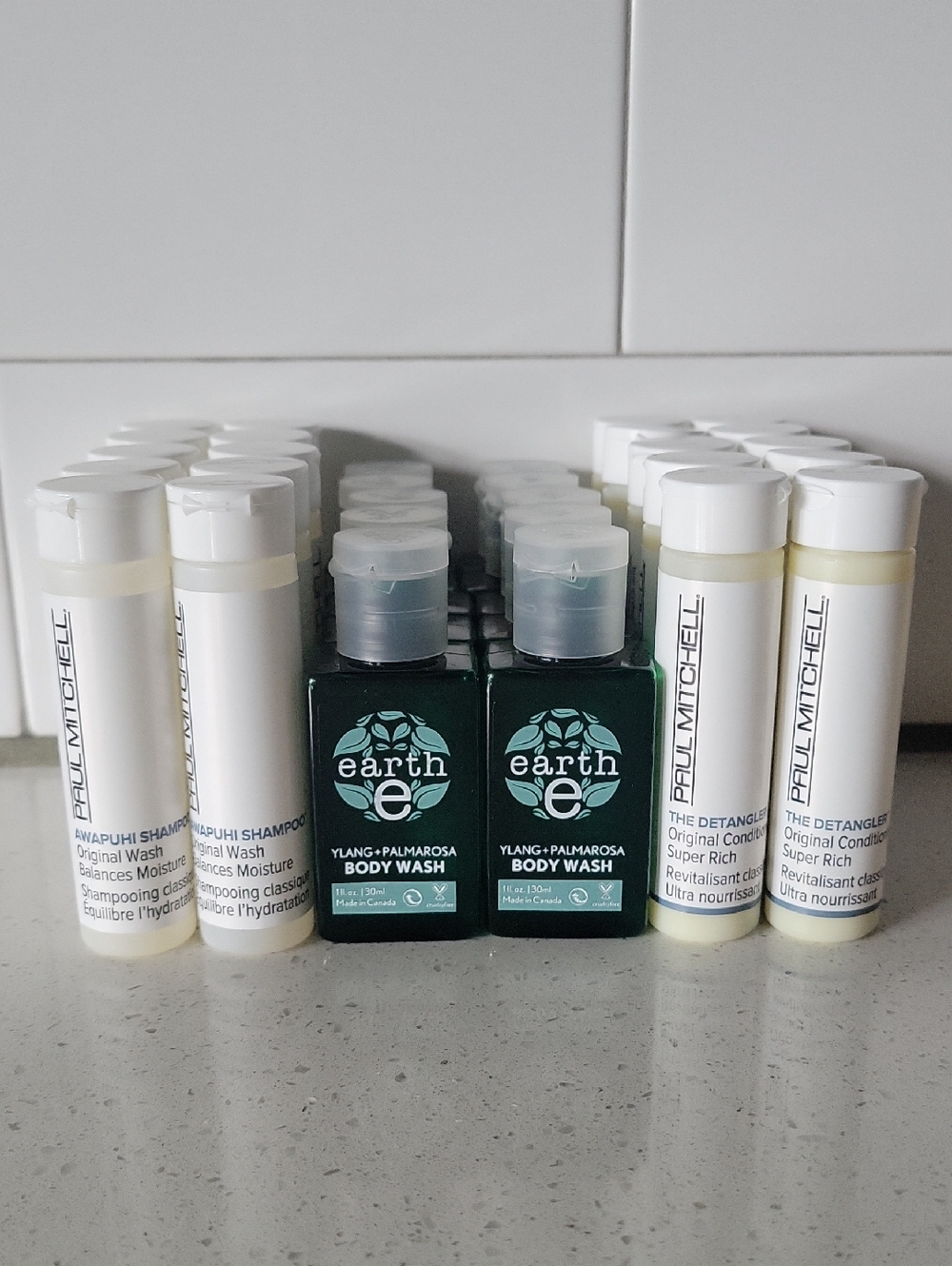 Paul Mitchell Shampoo & Conditioner & Earth Ylang-Palmarosa Body Wash For Travel